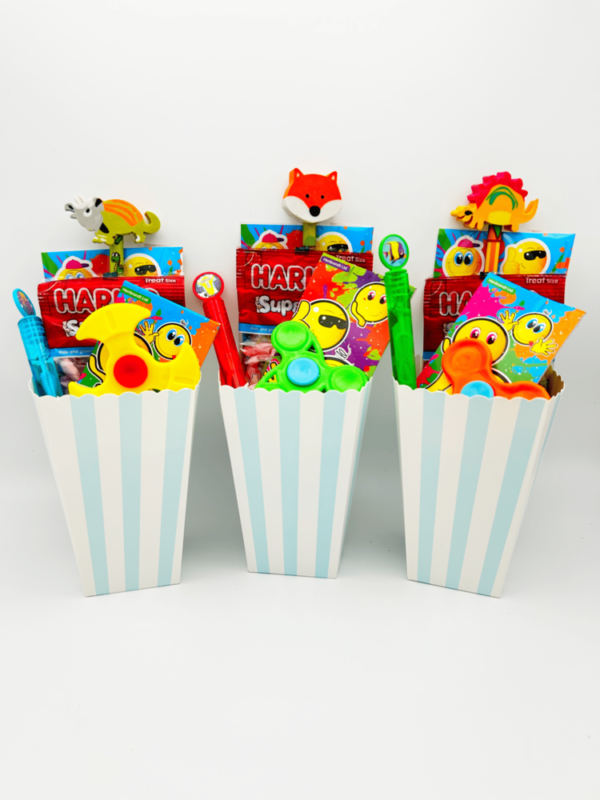 Boys Pre Filled Birthday Party Treat Box’s come pre-filled with a delightful assortment of sticker, notebooks, bubbles and much more.