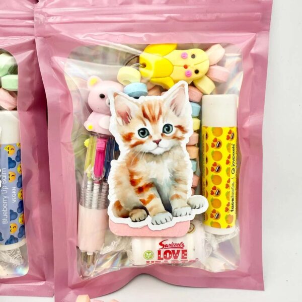 Cute Cats Pre Filled Party Bag comes pre-filled with a delightful assortment lip gloss, stickers, keyring and much more.