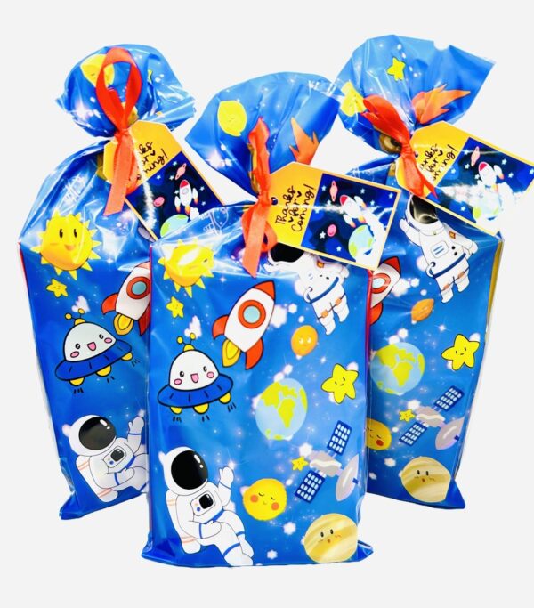 Space Pre Filled Party Bags contains high quality items, including fidget poppet keyring, activity book and much more, contents may vary slightly.